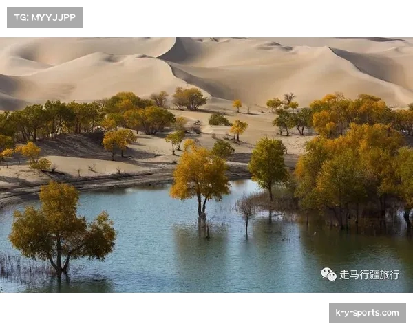 门内加运动能力出色,新疆队快攻反击中又多一可靠终结点